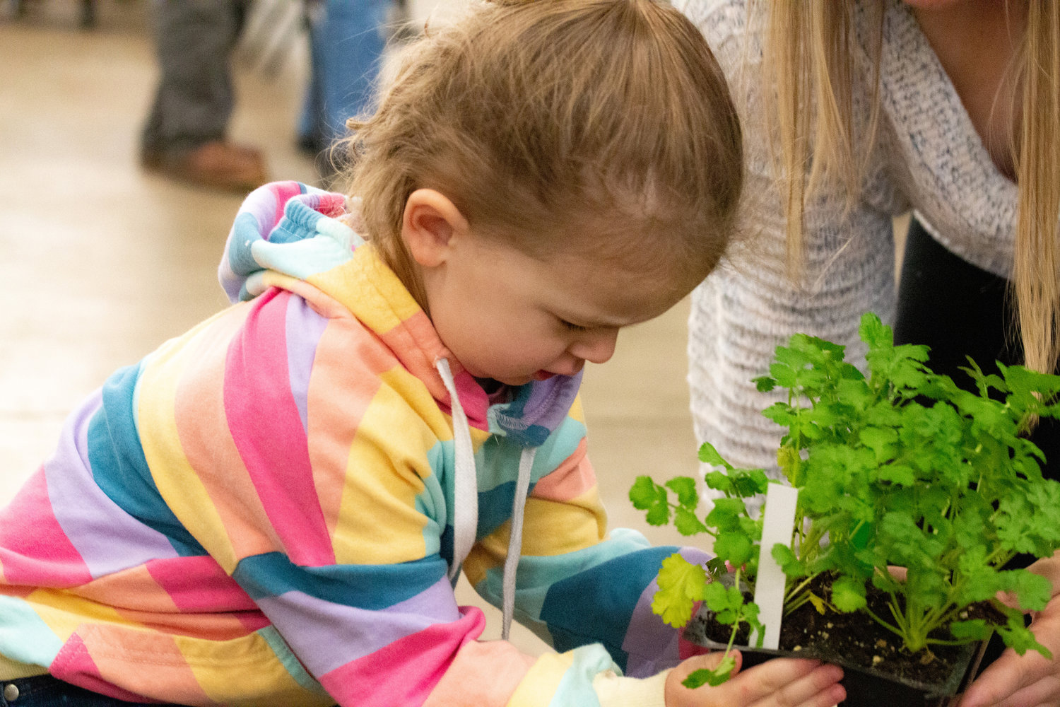 Renee Gustafson, daughter of Jeremy and Brooke, helps place a new plant in their cart at the Master Gardener Plant Sale at the Southwest Washington Fairgrounds on Saturday.